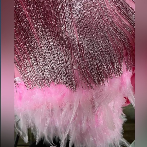 Ballerina Pink Sexy Fringe Feather Skirt Set With Tassles, 2 Piece Set - Picture 6 of 8